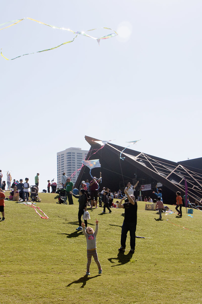 Kite Festival / Saroy