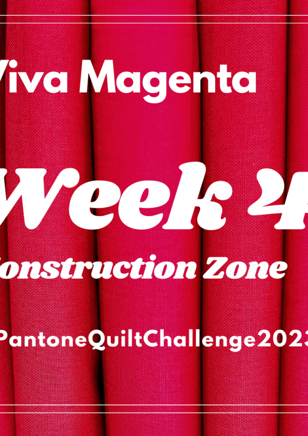 Pantone Quilt Challenge – Week 4