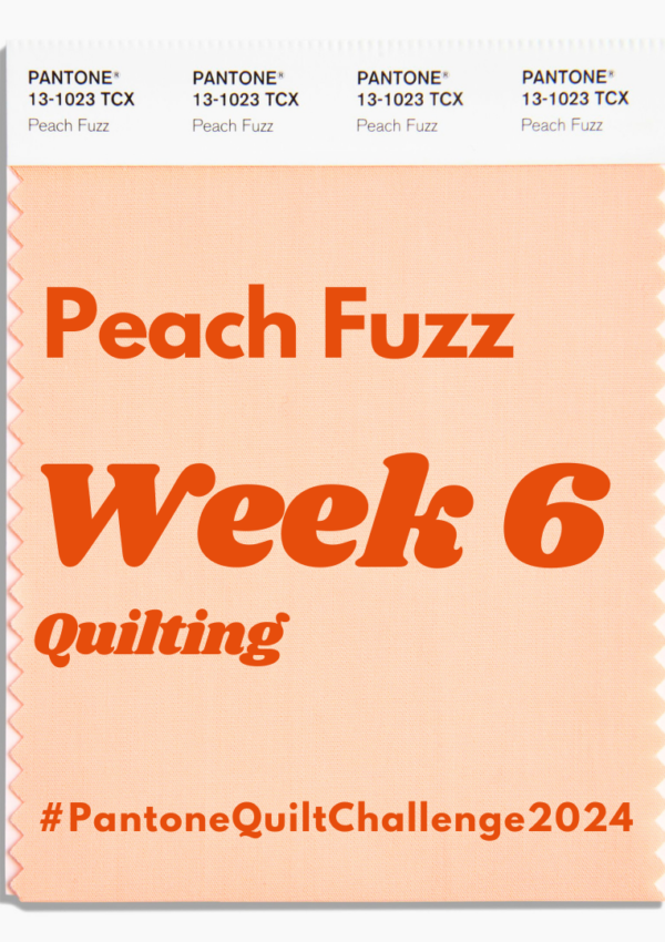 Pantone Quilt Challenge – Week 6