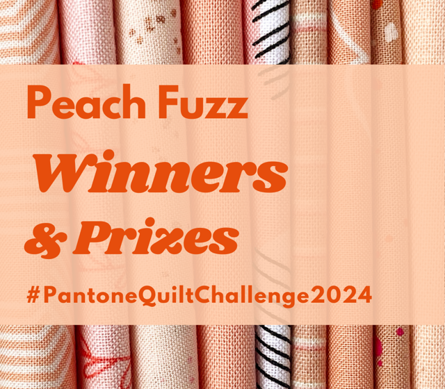 Pantone Quilt Challenge – Winners