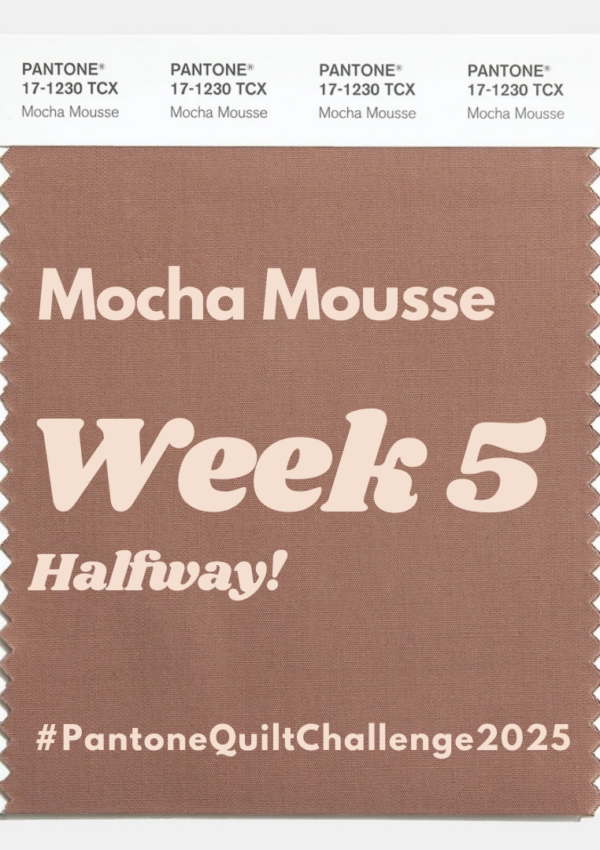 Pantone Quilt Challenge – Week 5