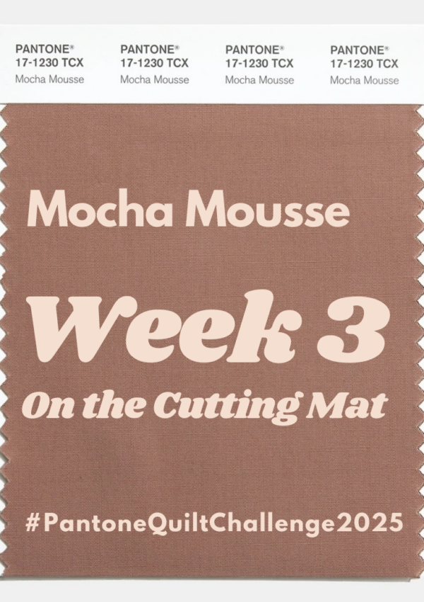 Pantone Quilt Challenge – Week 3